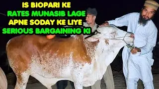 Small Cattle Price with Serious Bargaining Northern Bypass Cow Mandi 2023 | Cattle Market Karachi