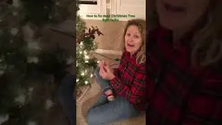 How to replace dead Christmas tree light bulbs