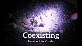 What is Coexisting? | How Does Coexisting Look? | How to Say Coexisting in English?