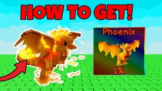 HOW TO GET PHOENIX PET SHOWCASE in GROW A GARDEN! | Roblox