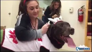 #ShineASpotlight: Western PA Humane Society