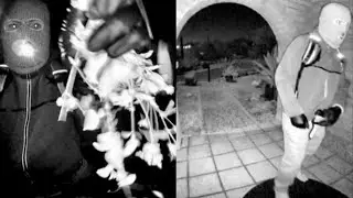 Surveillance footage in Nancy Guthrie case provides a &lsquo;treasure trove of information&rsquo;
