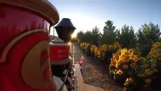 Live oak canyon railroad cab ride