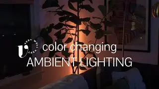 Boostool Gaming Room Lamp Review &ndash; Setup & Effects