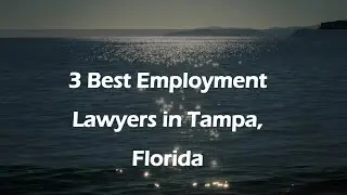 3 Best Employment Lawyers in Tampa, Florida | Employment Attorneys