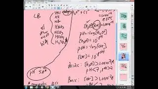 Honors Chem Lecture:  Acids and Bases - pH Part II