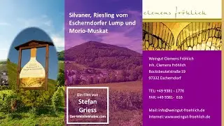 Silvaner, Riesling vom Escherndorfer Lump und Morio-Muskat vom Weingut Clemens Fröhlich