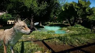 🐺🐾 Tropical simple Coyote Habitat | Planet zoo | speedbuild