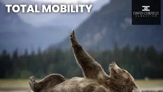 TOTAL MOBILITY 3