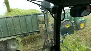 Rezanie kukuričky pre kravičky s FRajerkou New Holland FR780 #silage #gaspo 