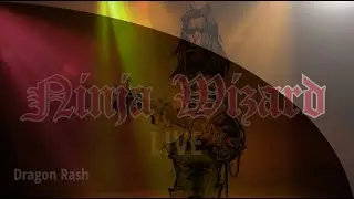 Ninja Wizard