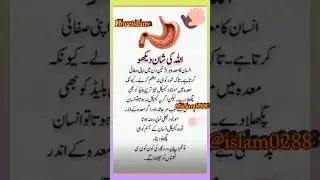 اللہ تعالی کی شان/Aaj ke Achi baat  / achi baatain  #islam #islamic #i#islamicmessage