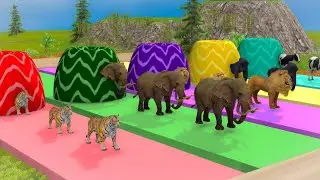 Funny monkey Escape From Maze GameMonkey Collecting Fruits