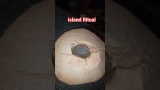 island Ritual signature cocktail vodka base #cocktail #drink #ytshorts #liquor