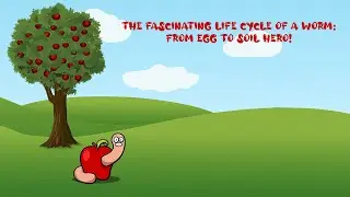 The Fascinating Life Cycle of a Worm: From Egg to Soil Hero!