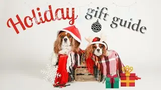HOLIDAY GIFT GUIDE 2020 // For Dogs and Dog Owners!