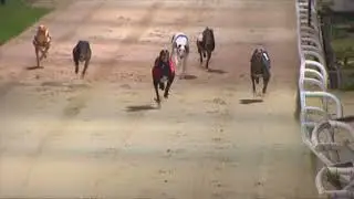 2008 REGENCY FINAL - FLYING WINNER