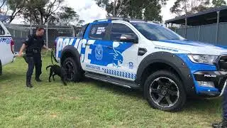 What  are the fitness standards for the NSW Police Force Dog Squad??