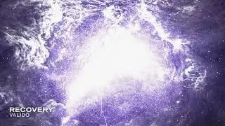 Valido - Recovery (TC Visualiser)