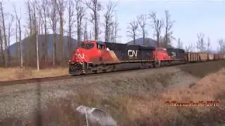 SP Trains #1131 Sulphur 1:1      2018-11-20