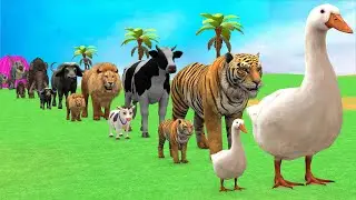 Long Slide Game with Cow Elephant Gorilla Hippopotamus Tiger 3d Animal Game Funny 3d Animals