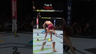 Top 4 Folded Knockouts