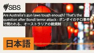 Are Australia's gun laws tough enough? That's the question after Bondi terror attack -...