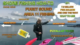 7+ Million Fish! What to use for Salmon Shore Fishing Puget Sound #shorefishing #pinksalmon