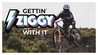 Gettin' Ziggy With It