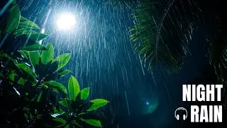 Gentle Night Rain &ndash; ASMR Rain for Relax & Meditation 🌙