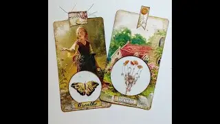 Large Tags with Acetate Windows - Adventure Journal