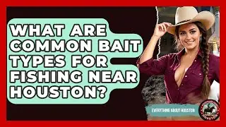 What Are Common Bait Types For Fishing Near Houston? - Everything About Houston