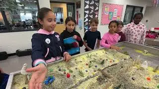 Tawanka ES Science Project