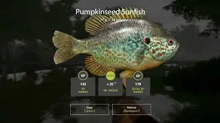 Pumpkinseed sunfish & Clupeonella | Russian Fishing4
