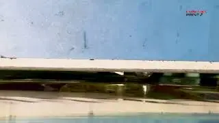 Advanced Batch Coding for Flow Wraps by Thermal Transfer Overprinter