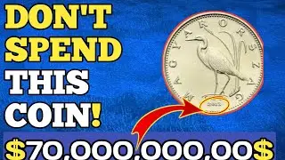 🪙 2013 Canada $1 Coin 🇨🇦 | Great Blue Heron Wildlife Design 🐦✨