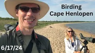 Birding Cape Henlopen State Park, Prime Hook, and more in Sussex County, Delaware, June 17th, 2024