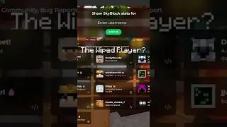 Игрок, чья игра была уничтожена? | Обзоры профилей Hypixel Skyblock [54]