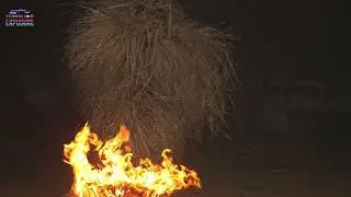 The most interesting things to know about the Kumpo masquerades of the Jola tribe of Senegambia