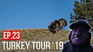 TURKEYS GOBBLING in SOUTH DAKOTA! -Public Land Merriams