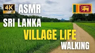 Village Life Walking Tour in Sri Lanka | Immersive ASMR Experience in 4K