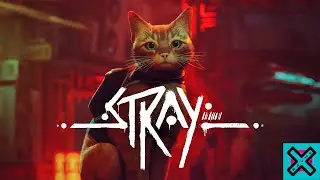 Прохождение игры Stray Playthrough #2: Трущобы