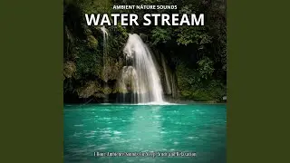 Water Stream (Intro)