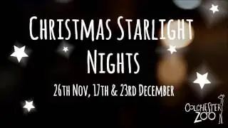 Christmas Starlight Nights at Colchester Zoo