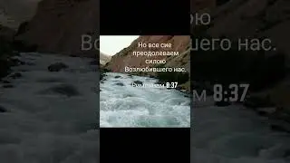 НО ВСЕ СИЕ ПРЕОДОЛЕВАЕМ СИЛОЮ ВОЗЛЮБИВШЕГО НАС &hellip; 27.01.2026