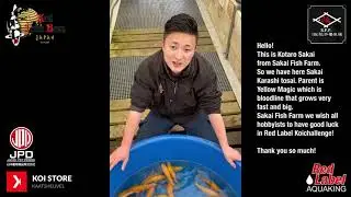 AquaKing Red Label Koichallenge de selecties, SFF SAKAI FISH FARM!
