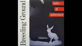Breeding Ground &ndash; This Time Tomorrow (Fringe Product  - 1986)