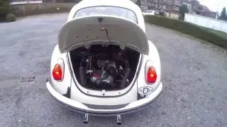 VW K&auml;fer 1300 / 1969