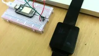 DoorBot First Test