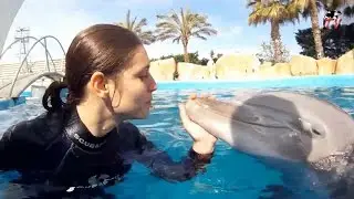 Marineland TV - Actu N° 143 - Découvrez ou redécouvrez Cécilia 4 ans après Marineland Immersion
